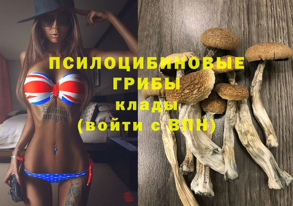 спиды Абинск