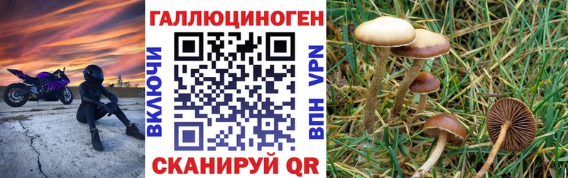 ссылка на мегу зеркало  Ряжск  Галлюциногенные грибы прущие грибы  купить наркоту 